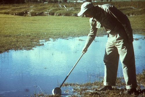 Figure 8. An example of the sunlit pools that are ideal larval habitats for Anopheles gambiae Giles
