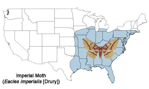 Figure 2. Imperial moth, Eacles imperialis (Drury), distribution map.