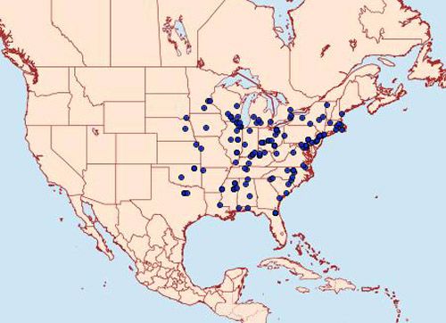 Figure 2. Reported distribution of the squash vine borer, Melittia cucurbitae (Harris), in the United States.