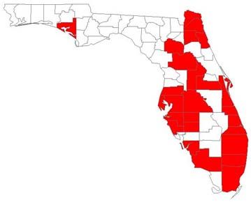 Figure 1. A tawny crazy ant, Nylanderia fulva (Mayr), worker.