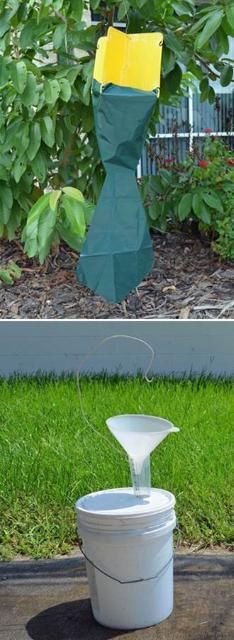 Figure 23. Commercial Japanese beetle trap (top) and DIY version below (lures not shown).