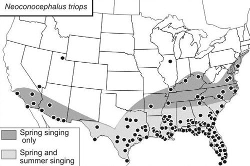 Figure 2. Distribution of Neoconocephalus triops (L.) within the United States. Black dots indicate county records and shading indicates spring- and summer-singing katydids or spring-singing-only katydids.