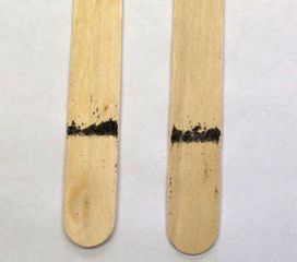 Figure 6. Tongue depressor from a standard ovitrap with mosquito eggs.