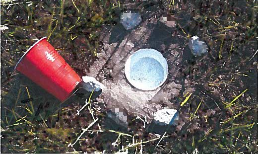 Figure 9. Pitfall traps using a standard plastic cup (532 ml capacity) with soapy-water solution used for monitoring bluegrass billbugs, Sphenophorus panvulus Gyllenhal.