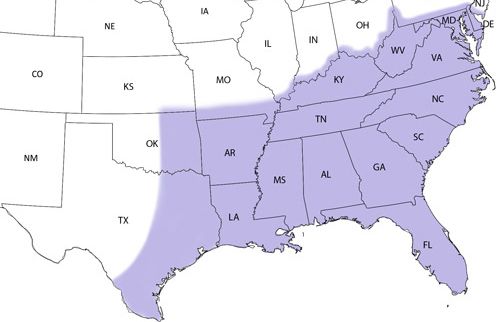 Figure 3. A distribution map for the Carolina satyr, Hermeuptychia sosybius (Fabricius). Information on recent sightings can be found on the Butterflies and Moths of North America (BAMONA) website (Lotts and Naberhaus 2015). NOTE: Given the recent discovery of a similar species, the intricate satyr, Hermeuptychia intricata Grishin, older species records may be in need of review.
