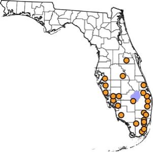 Figure 3. Initial 2008 field release sites for Lophodiplosis trifida Gagné in Florida. Lophodiplosis trifida Gagné has since established in Florida and is spreading to areas where its host melaleuca occurs. Locality data were taken from Pratt et al. (2013).