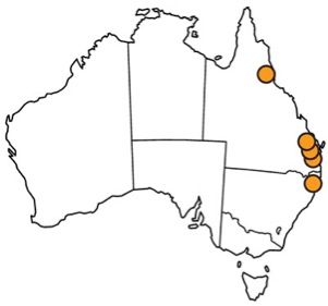 Figure 2. Distribution of Lophodiplosis trifida Gagné in Queensland and New South Wales, Australia.