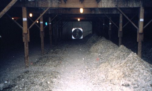 Figure 6. Manure pit underneath cage-layer poultry house. The left row of manure has been recently removed. The right row shows poultry manure accumulation.