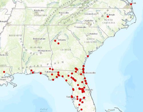Figure 1. Localities for Kalotermes approximatus Snyder within Florida, Georgia, Louisiana, North Carolina, and Virginia. Each red dot present on the figure represents a single collection locality.