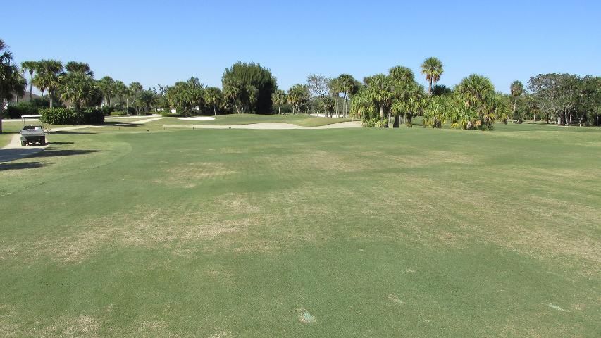 Figure 1. Brown patches of thinning bermudagrass observed from a distance caused by bermudagrass mite on a Florida golf course.