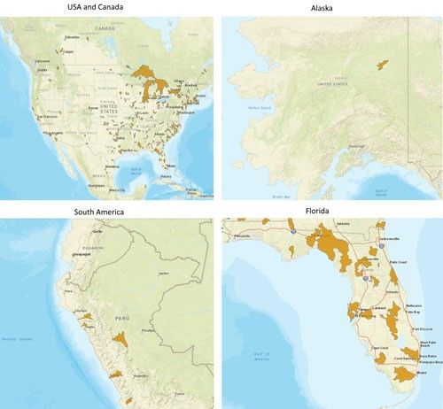 Figure 2. Distribution of the marsh rams-horn, Helisoma trivolvis (Say).