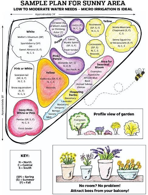 Figure 3. Example of a landscape designed to support native wild bees and other pollinators. The plants included provide attractive colors (white, yellow, and blue-purple) and ample pollen and nectar and can be grown throughout most of Florida. For each plant, information on bloom time, growing region, frost sensitivity, and flower color, is included.
