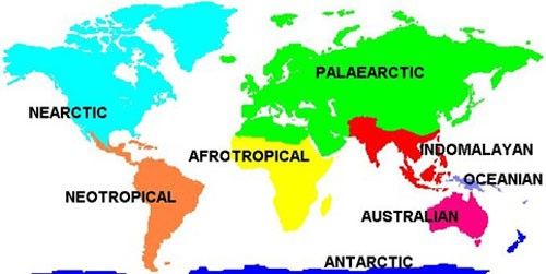 Figure 3. Map of biomes. Ostracods can be found virtually worldwide.