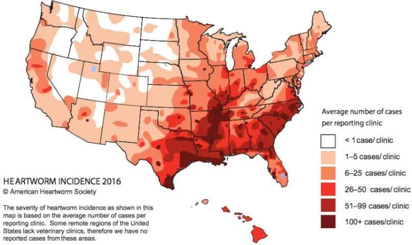Figure 16. United States distribution of 2016 reported incidence of canine heartworm, Dirofilaria immitis (Leidy). From the American Heartworm Society.