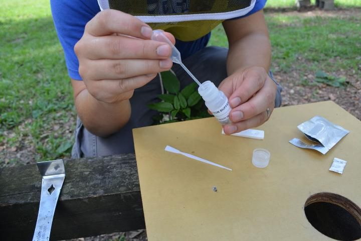 Figure 9. Removing larval sample from the extraction bottle with a pipette.