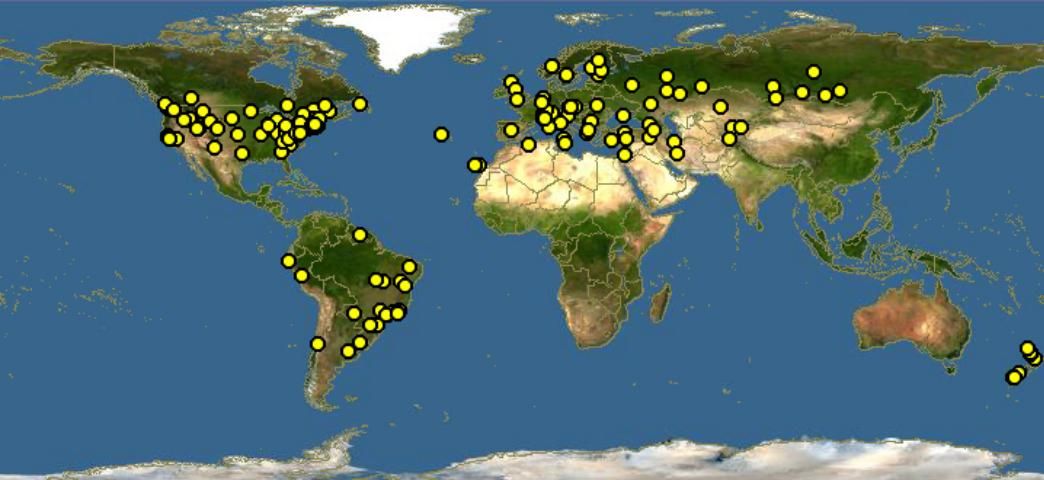Figure 2. Global distribution of Anthidium manicatum (Linnaeus).