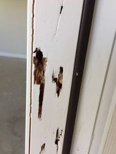 Figure 2. Termite damage on a door frame. Door frames are common access points. Doors often sit on expansion joints that allow subterranean termites to find their way in.