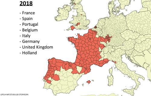 Figure 2. Distribution of Vespa velutina (Lepeletier) in Europe up to the year 2018.