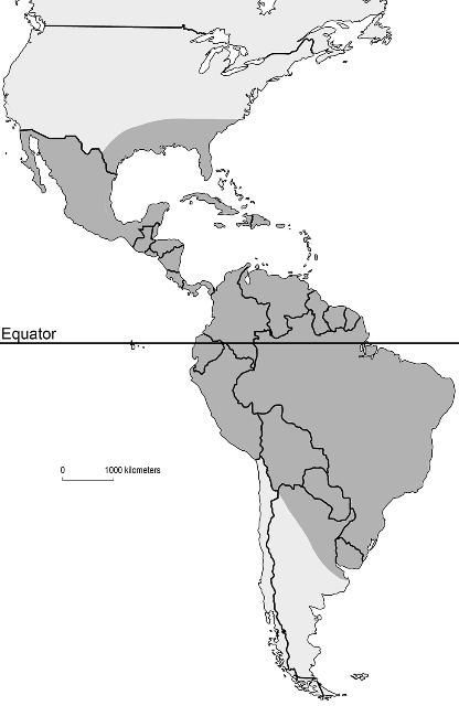 Approximate distribution of Mansonia titillans in North, Central and South America shaded in dark gray.