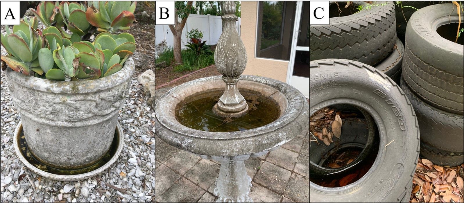 Figure 3. Examples of artificial containers frequently occupied by immature mosquitoes. A. Plant pot saucer; B. Neglected bird bath; C. Discarded tire.