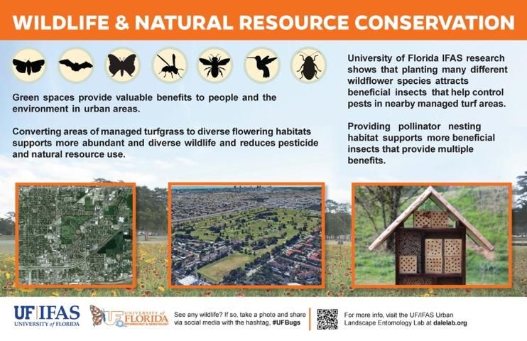 Figure 6. Template signage that can be placed next to golf course wildflower habitats to engage golfers and educate them about the environmental benefits associated with these spaces.
