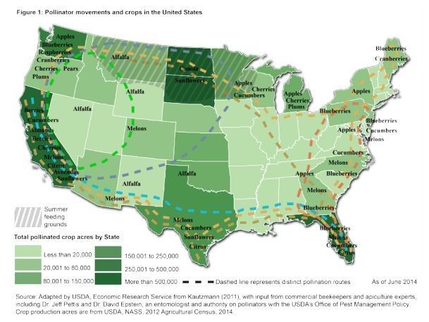 Figure 1. Movement routes for honey bees across the United States and major crops honey bees are used to pollinate.