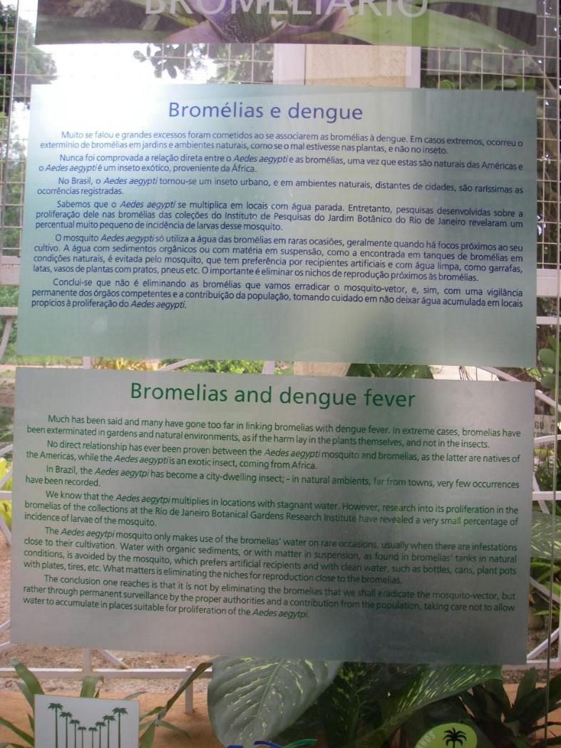 A plaque commemorating the research findings of Mocellin et al. (2009) on mosquito larvae found in bromeliads in Jardim Botanico in Rio, Brazil. 