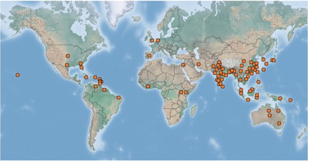 Worldwide distribution of S. dorsalis. 