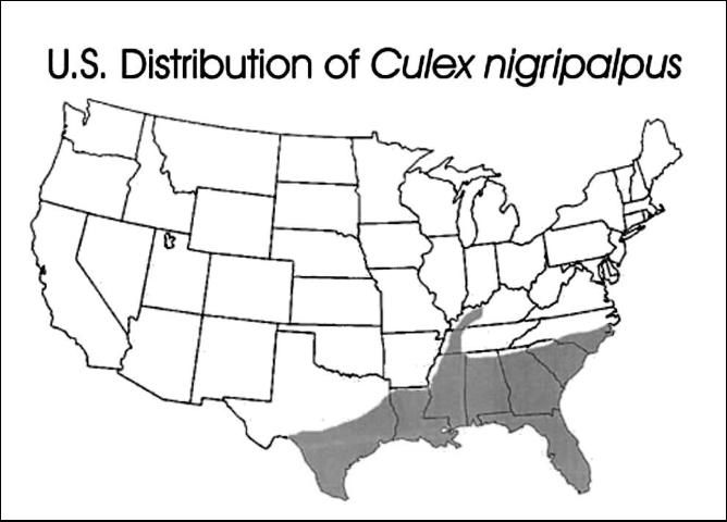 Figure 1. US distribution of Culex nigripalpus.