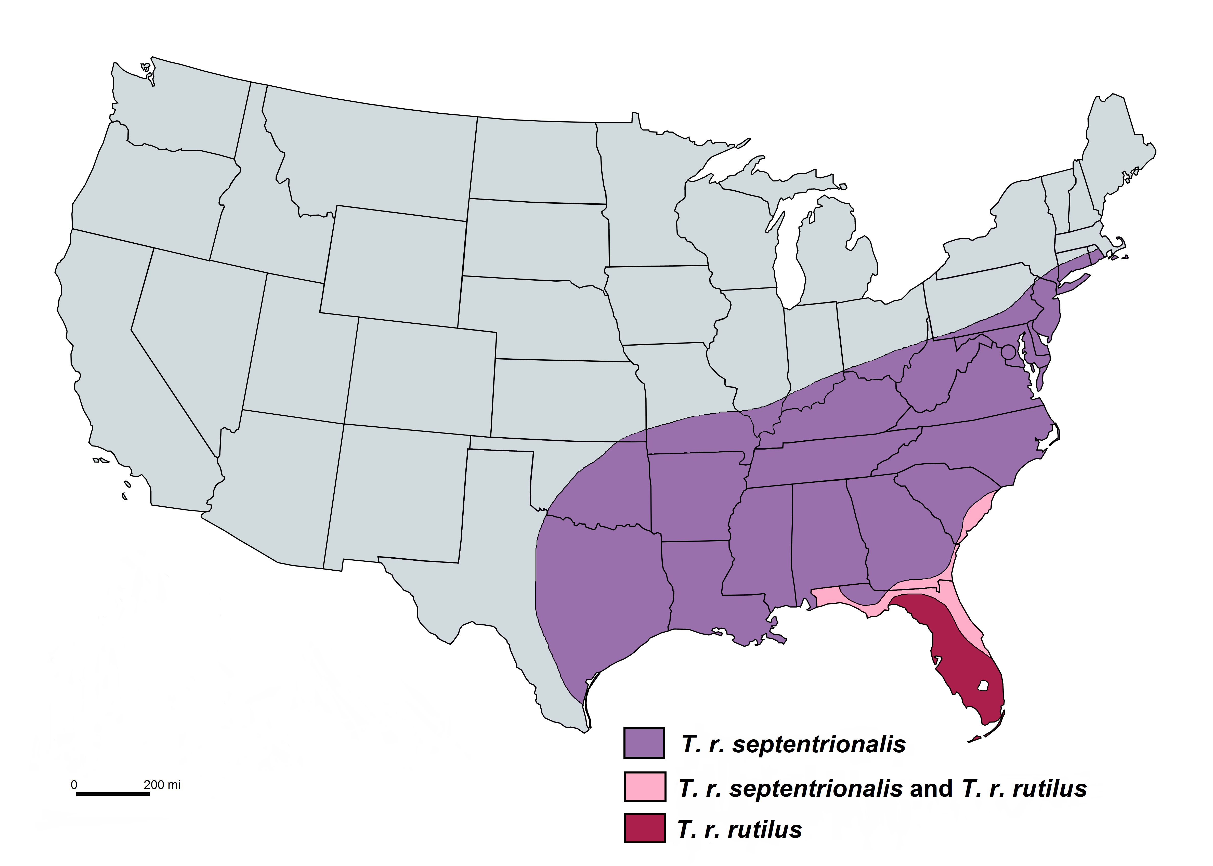 The geographical distribution of Toxorhynchites rutilus in the United States. Map is redrawn after Burkett-Cadena 2013. 