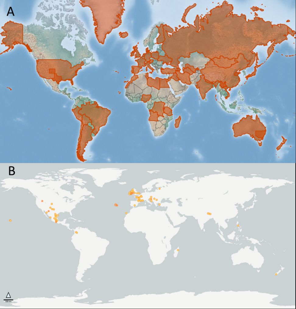 Estimated distribution of Pulex irritans Linnaeus, 1953. Overall geographic distributions are shown in orange highlights and are based on database mining of location records (A). Specific collection locations are reported from 1960-2020 (B). The overall estimated distribution map is by the , United Kingdom (A), with specific locations from  (B).