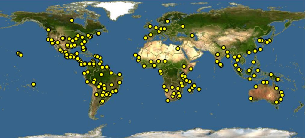 The worldwide distribution of waterlettuce, Pistia stratiotes. Yellow dots illustrate the presence of waterlettuce, the primary host plant of Neohydronomus affinis. 