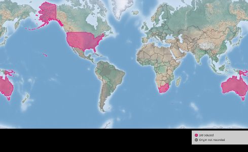 The pink color indicates where the waterlettuce weevil, Neohydronomus affinis, was introduced globally.