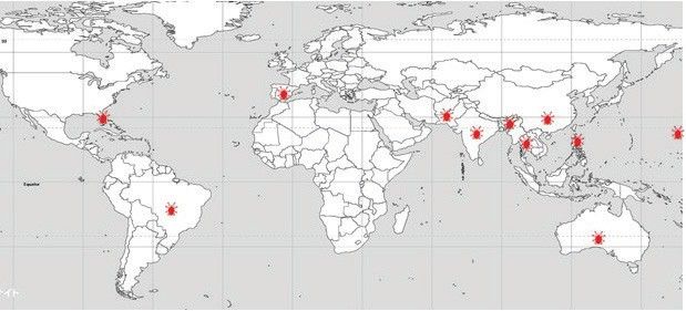 Distribuição mundial do ácaro da erinose da lichia, Aceria litchii.