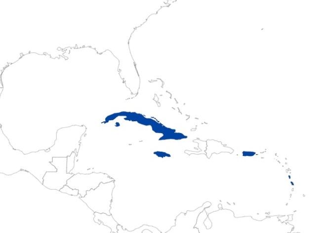 A map of the documented distribution of Aceria hibisci across the islands in the Caribbean and the Caribbean Sea. 