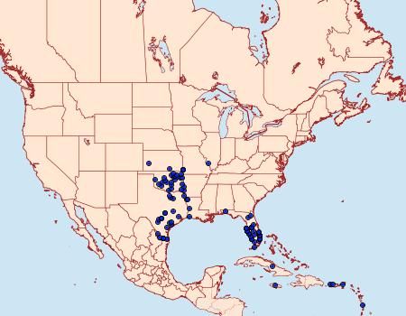 Distribution map for Melanchroia chephise in the United States. 