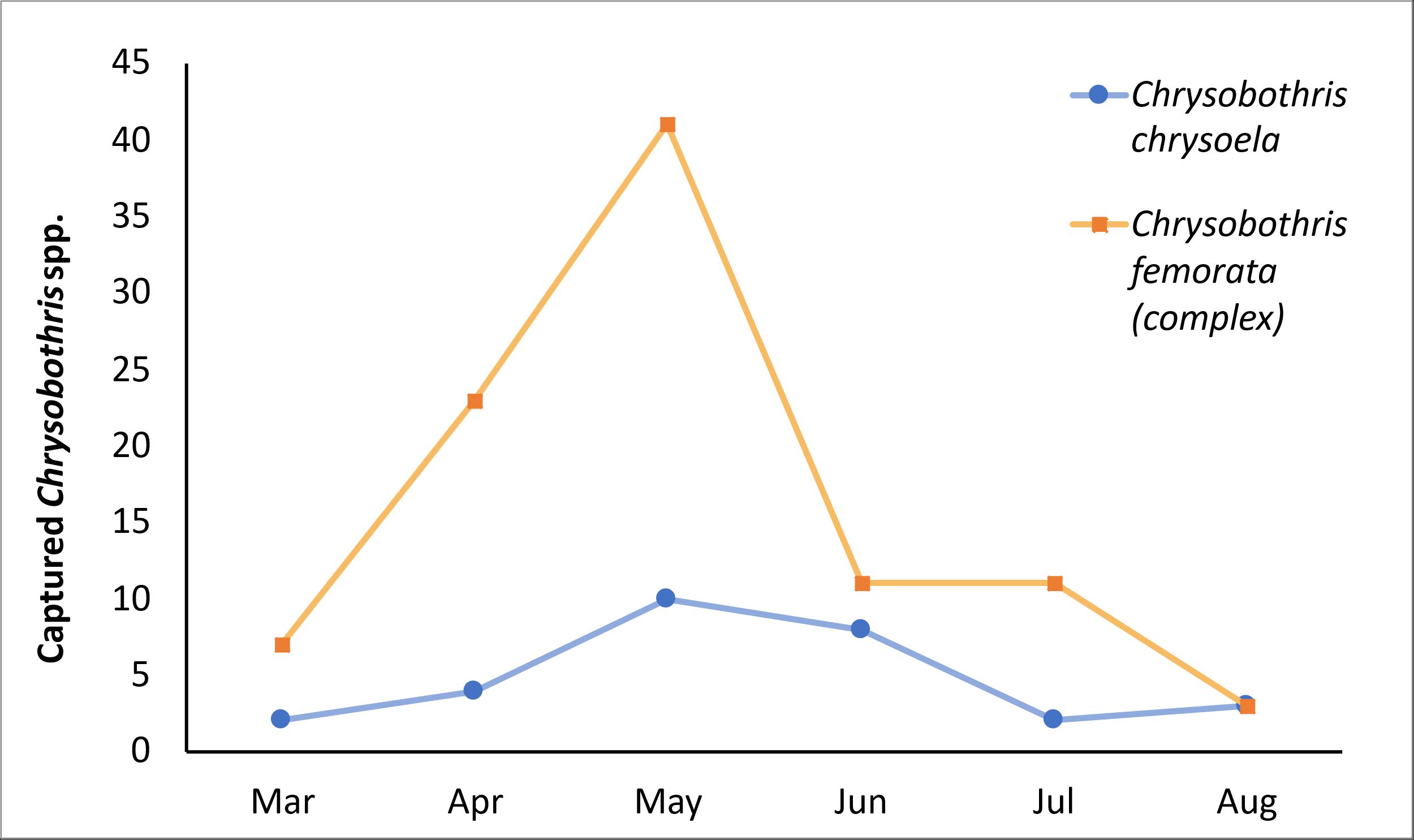 Figure 2 depicts a line graph. The top line is orange and represents the number of Chrysobothris femorata (CF) beetle captures from the months of March to August. The bottom line is blue and represents the number of Chrysobothris chrysoela (CC) captures from the same months. The orange CF line shows that there are significantly more captures of that species throughout the field season, except in August where both species have the same amount of captures (3). The orange line has a steady positive trend, peaking during May with 41 captures of CF, then immediately dropping to 11 in July. The blue line has a slight positive trend, with a peak of 10 CC captures in May and a small drop of captures (8) in the June.