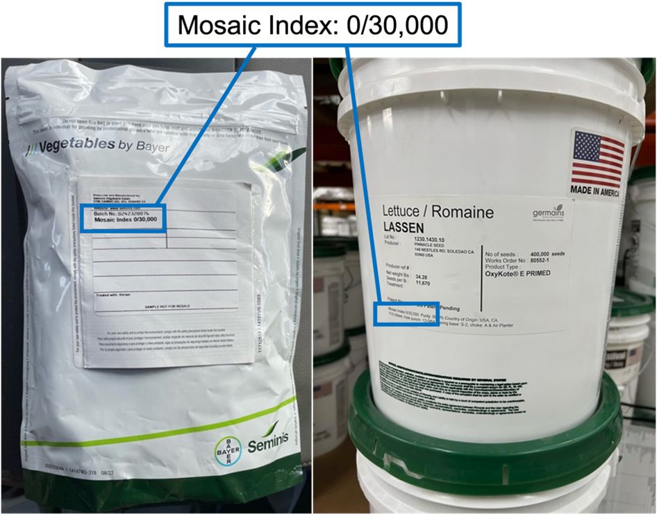 The left photo shows a bag of commercial lettuce seeds by a company called Seminis Vegetables by Bayer. The right photo shows a bucket of commercial lettuce seeds by a company called Germains. There is a "Made in America" sticker on the right corner of the bucket. Both bag and bucket have Mosaic Index: 0/30,000 labels on the package.