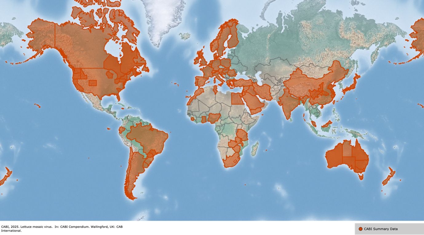 A screenshot of a map of the world highlighting areas in orange to indicate the distribution of Lettuce mosaic virus. These areas include North America, part of South America, Europe, Africa, Australia, and Asia.