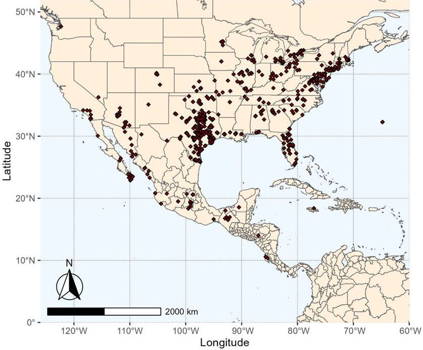 Map of P. bilineatus sightings in North and Central America with locations mainly clustered in eastern US states through southern California and Mexico.