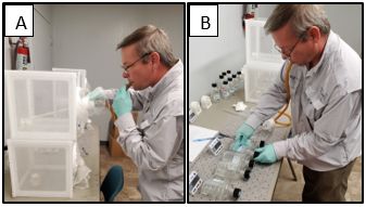Two photos of a person in blue nitrile gloves with a tube in his mouth standing in front of a table with laboratory apparatus. In A, he is poking the other end of the tube into a white plastic box evidently containing mosquitoes. In B, still with the tube in his mouth, he is manipulating one of five clear glass or plastic bottles with black plastic lids lined up on a table, evidently being about to blow or having recently blown some mosquitoes into it and its fellows.