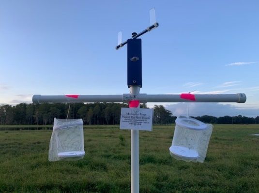 A white T made from two intersecting PVC pipes holds a rotating impinger with two slides and two hanging, cylindrical mosquito cages attached to the arms of the T with fluorescent pink duct tape. A sign taped to the PVC pipe reads "Mosquito Trap Please Do Not Touch."