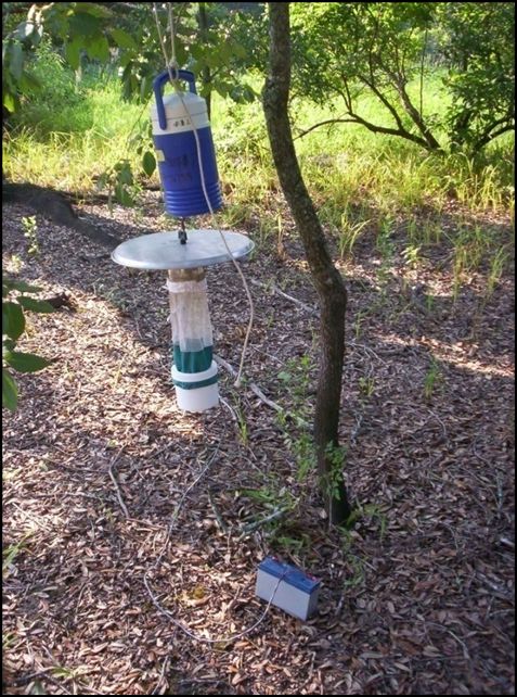 Mosquito trap hanging from a tree in a forested area.