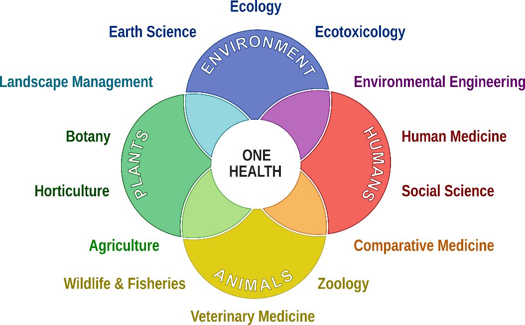 Figure 1 Venn diagram with a circle labeled One Health at the nexus between overlapping colored circles labeled Environment, Humans, Animals, and Plants, respectively. Where the sets overlap, the colors blend. Color-matched labels outside the diagram indicate which disciplines belong to which of the various intersecting sets. Earth Science, Ecology, and Ecotoxicology belong to Environment; Environmental Engineering belongs to the nexus between Environment and Humans; Human Medicine and Social Science belong to Humans; Comparative Medicine belongs to the nexus between Humans and Animals; Zoology, Veterinary Medicine, and Wildlife and Fisheries belong to Animals; Agriculture belongs to the nexus between Animals and Plants; Botany and Horticulture belong to Plants; and Landscape Management belongs to the nexus between Plants and Environment.