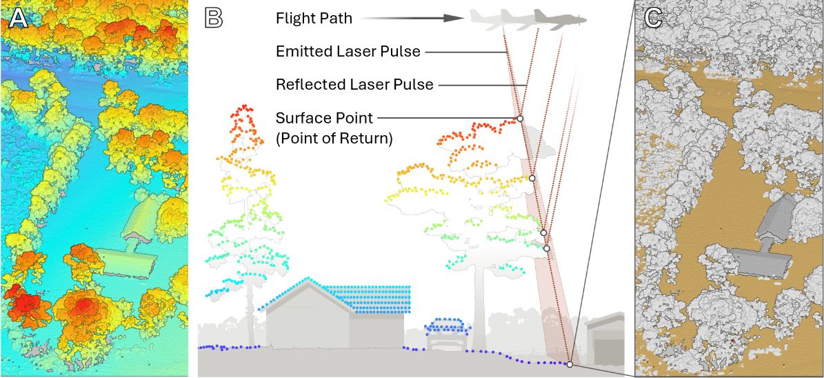 Panel A has an image of trees with two buildings and then open space. The image has a gradient of color with high elevations in red and low elevations in blue. Panel B shows an example of an airplane flying and collecting LiDAR points from trees, the ground, and building surfaces. Panel C shows the same image as panel A but shows ground level points in brown and all other points in gray.