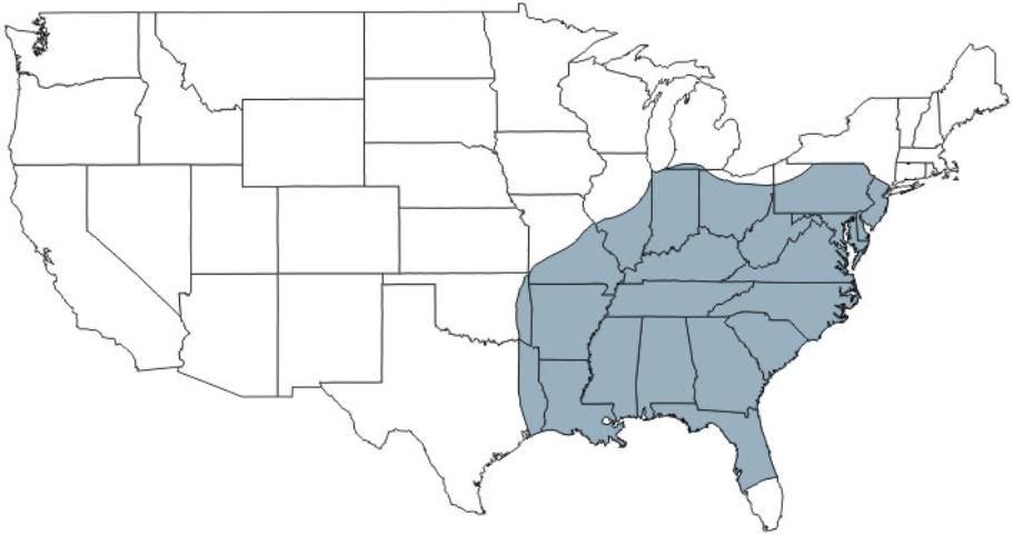 Figure 2. Regal moth, Citheronia regalis (Fabricius), distribution map.