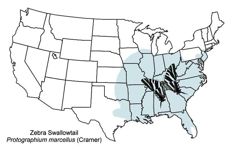 Figure 3. General distribution map for the zebra swallowtail, Protographium marcellus (Cramer).