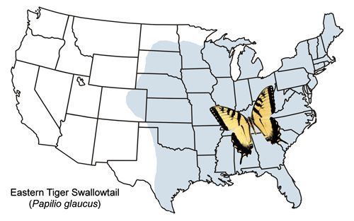 Figure 2. Distribution map of Papilio glaucus Linnaeus.