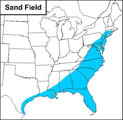 Figure 1. Distribution of sand field cricket in the United States.
