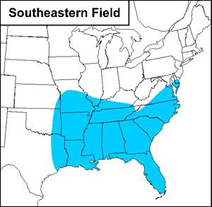 Figure 1. Distribution of southeastern field cricket in the United States.